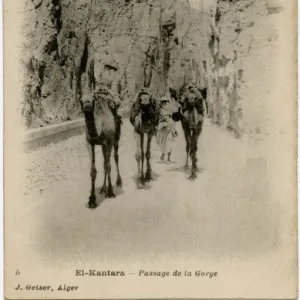 Village of El-Kantara, Algeria - Road through the Gorge