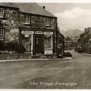 The Village, Llanegryn, Merionethshire