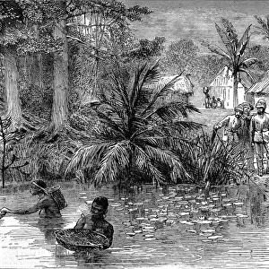 A village on the river Prah during the 2nd Ashanti War