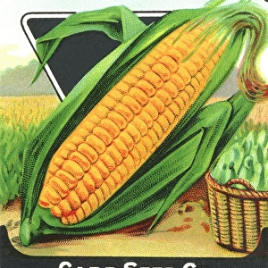 Vintage sweetcorn seed packet