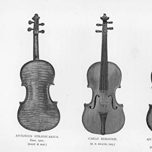 Three violins by Stradivarius and Bergonzi