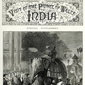 Visit of the Prince of Wales to India - elephants