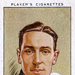 A W Wellard, Somerset County cricketer