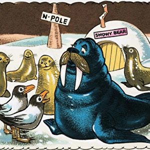 Walrus and gulls at the North Pole
