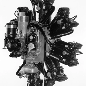 Warner Super Scarab seven-cylinder 145hp air-cooled radial