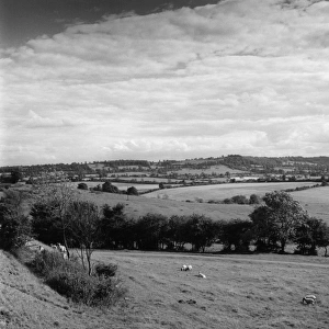 Warwickshire Panorama