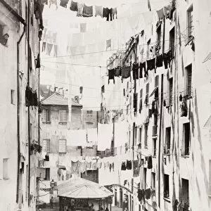 Washing, Truogoli di Santa Brigida, Genoa, Genova, Italy