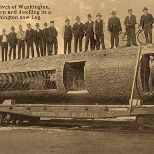A Washington Saw Log used as the home for a man and a bear