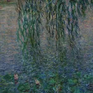 The Water Lilies: Clear Morning with Willows by Monet