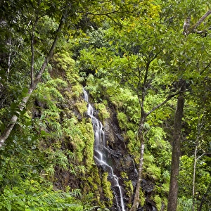 A waterfall in Ferney Forest