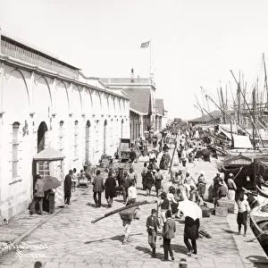 Waterfront, Smyrna (Izmir) Turkey, c. 1880 s
