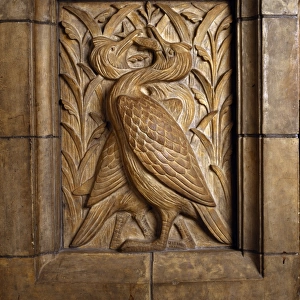 Detail from the Waterhouse Building at the Natural History M