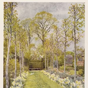 Waxwell Farm Garden 1908
