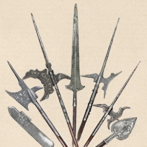 Weapons. Halberds and spearhead. Colored engraving