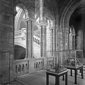 West corridor, the Natural History Museum 1882