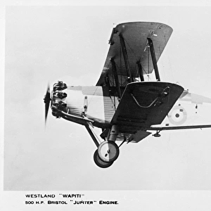 Westland Wapiti British biplane
