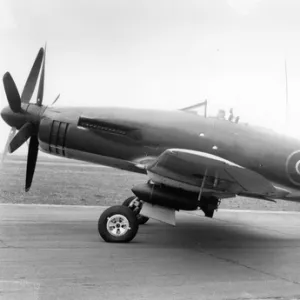 Westland Wyvern TFMk1, TS380