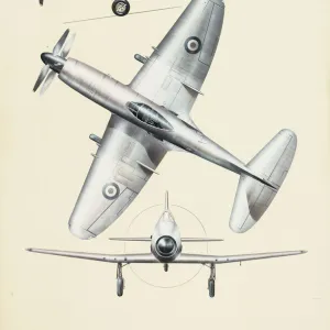 Westland Wyvern VP120 aeroplane