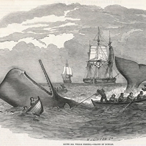 Whaling / South Seas 1847