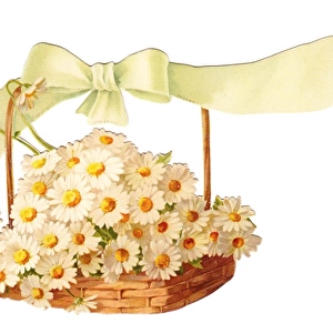 White daisies in a basket on a cutout greetings card