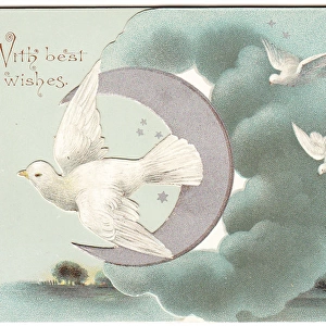 White doves on a Christmas card