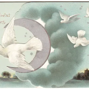 White doves on a Christmas card