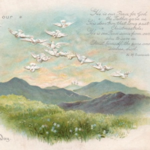 White doves in flight on a Christmas card