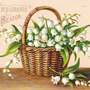 White flowers in a basket on a Christmas card