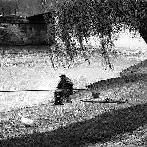White goose and fisherman Beaumont sur Oise, France