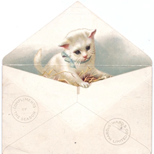 White kitten in an envelope on a Christmas card