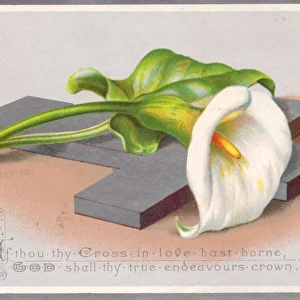 White lily and a cross on an Easter card