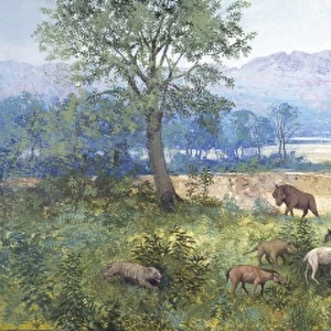 White River scene, late Eocene