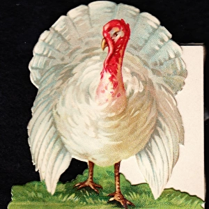 White turkey on a cutout Christmas card