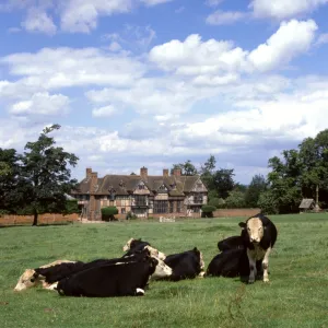 Wick Manor with cattle, Wick, Worcestershire