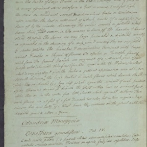 William Bartrams letter to Robert Barclay, 1788