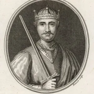 William I the Conqueror William I the Conqueror