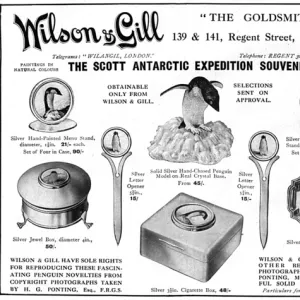 Wilson & Gill Scott Antarctic expedition souvenirs