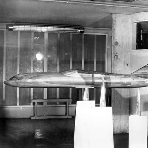Wind-tunnel model of Nord N600