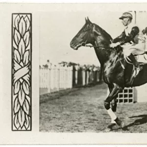 Windbag, Australian race horse