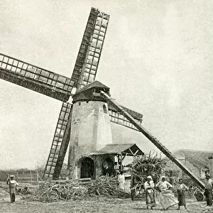 Windmill for processing sugar cane, Barbados, West Indies