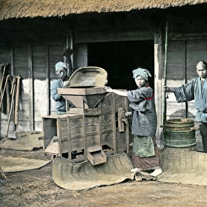 Winnowing rice, Japan