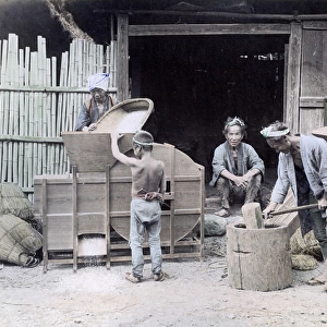 Winnowing rice, Japan, circa 1880s