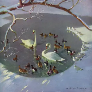 Winter Circle by Vernon Ward