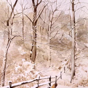 Winter scene with three birds flying over a field