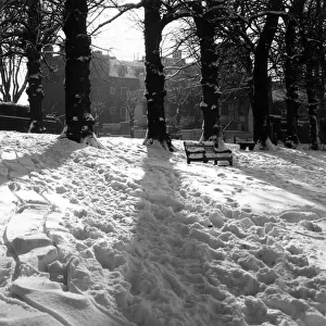 A winter scene on Hampstead Heath, London, with the sun shining on tracks in the snow