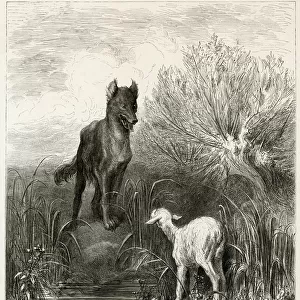 THE WOLF AND THE LAMB
