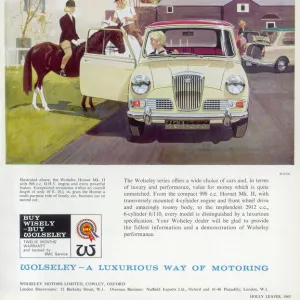 Wolseley car advertisement