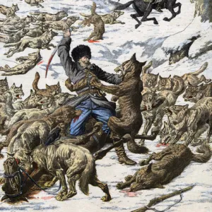 Wolves attack Russian soldiers during war with Japan