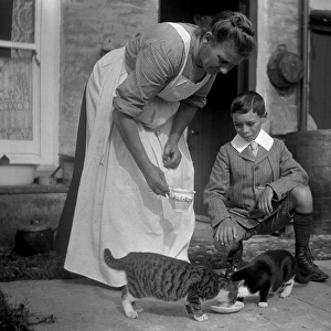 Woman and boy with two cats