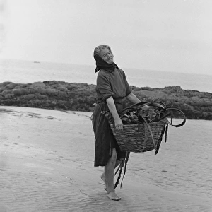 Woman carrying basket of seaweed along a beach